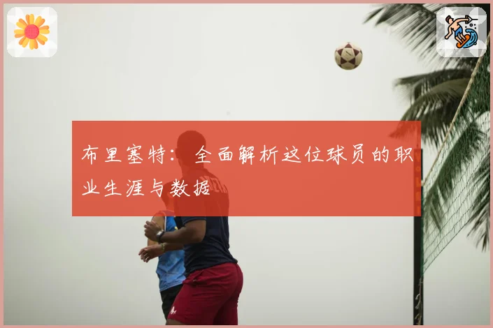 布里塞特：全面解析这位球员的职业生涯与数据